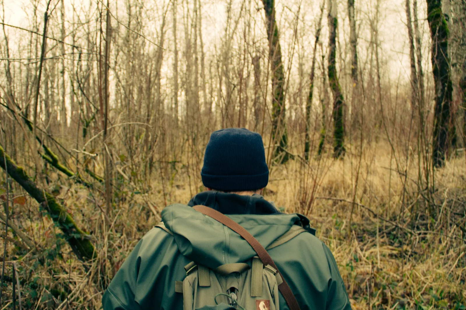 How To Lead The Introverts On Your Team